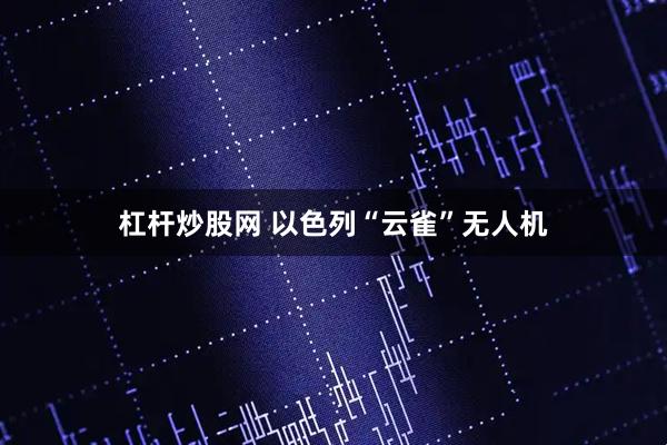 杠杆炒股网 以色列“云雀”无人机