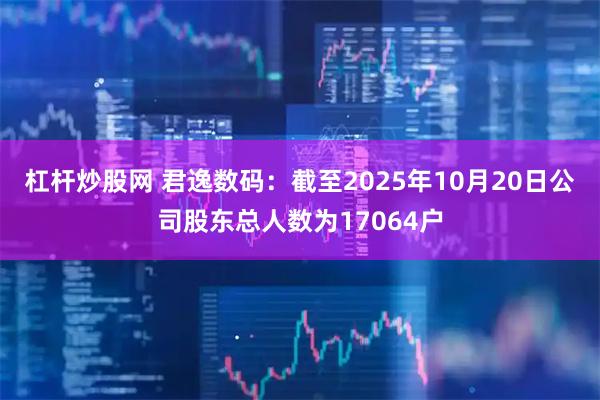 杠杆炒股网 君逸数码：截至2025年10月20日公司股东总人数为17064户